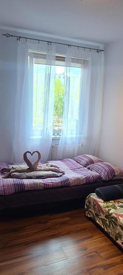 Sweet Home & Sweet Cats & Fast Internet Wrocław Kültér fotó